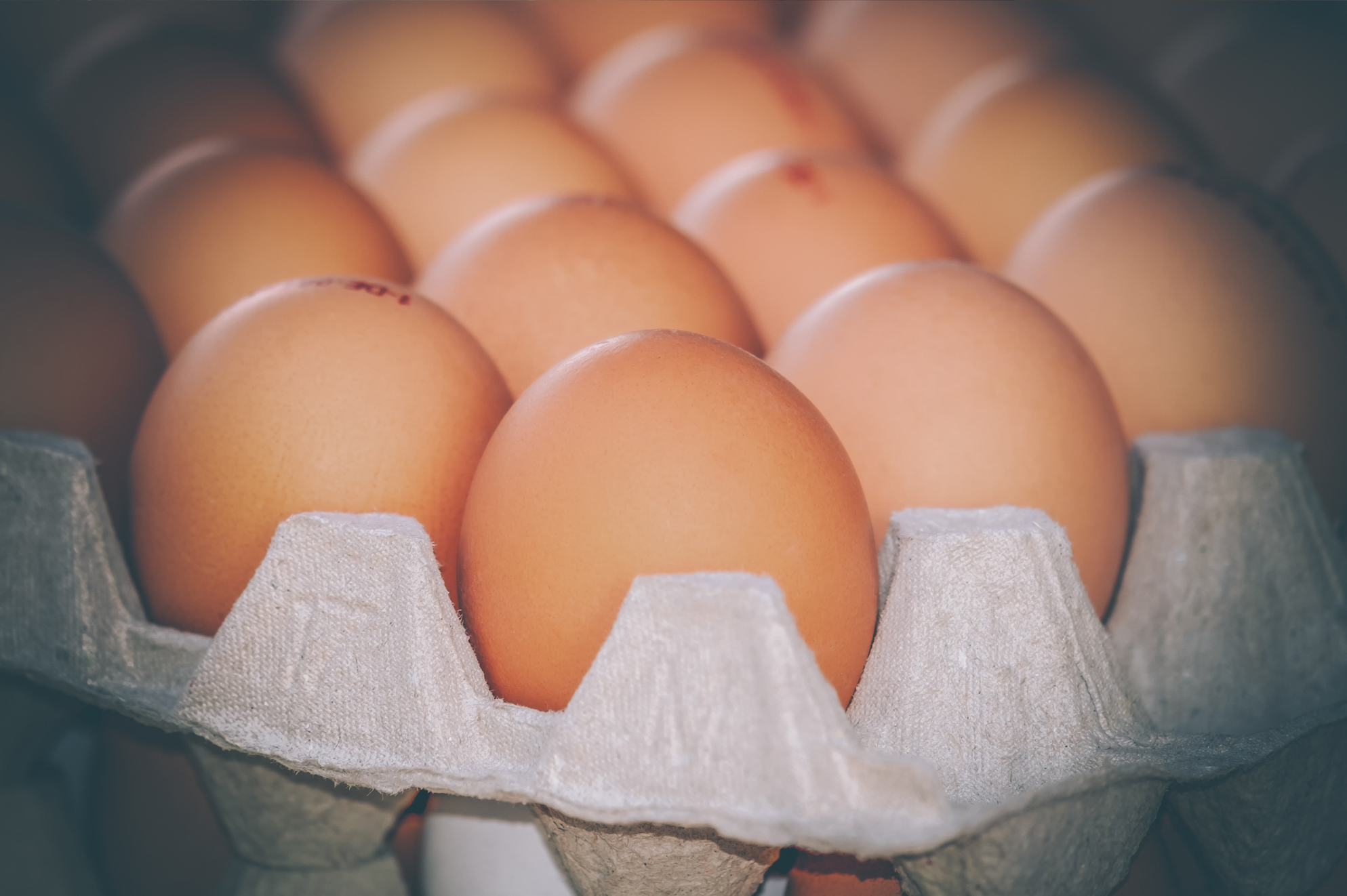 Eierkarton-Eierpappen-Eierschachtel-karton